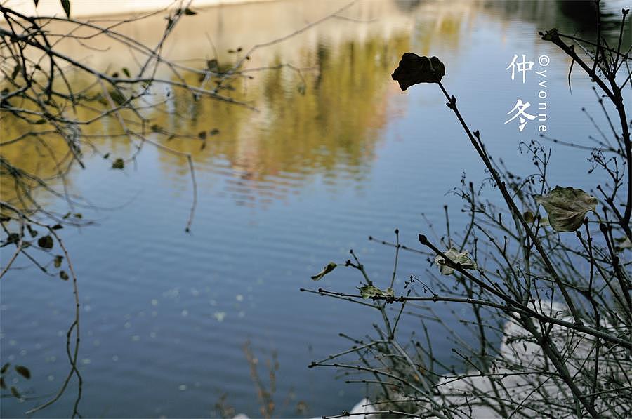 仲冬.
