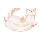 弯总还是不会画猫的头像