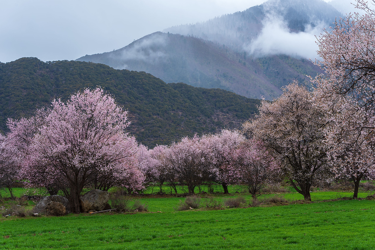 桃花沟（图ZMTU5NzI4NDIw） - 风光摄影 - 站酷设计师摄影师雪山飞兔原创素材 - 站酷ZCOOL