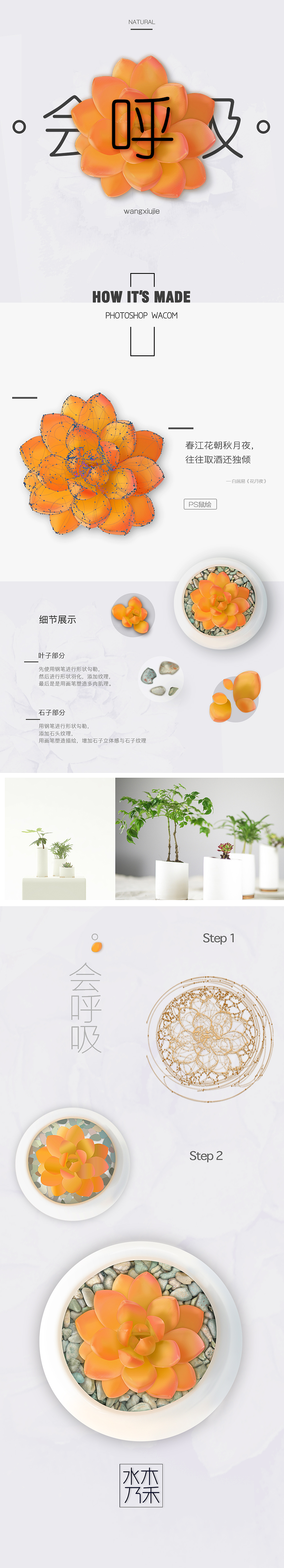 • 多肉 • 写实鼠绘（图ZNDE5ODQ2NDg=） - 其他UI - 站酷设计师水木乃禾原创素材 - 站酷ZCOOL