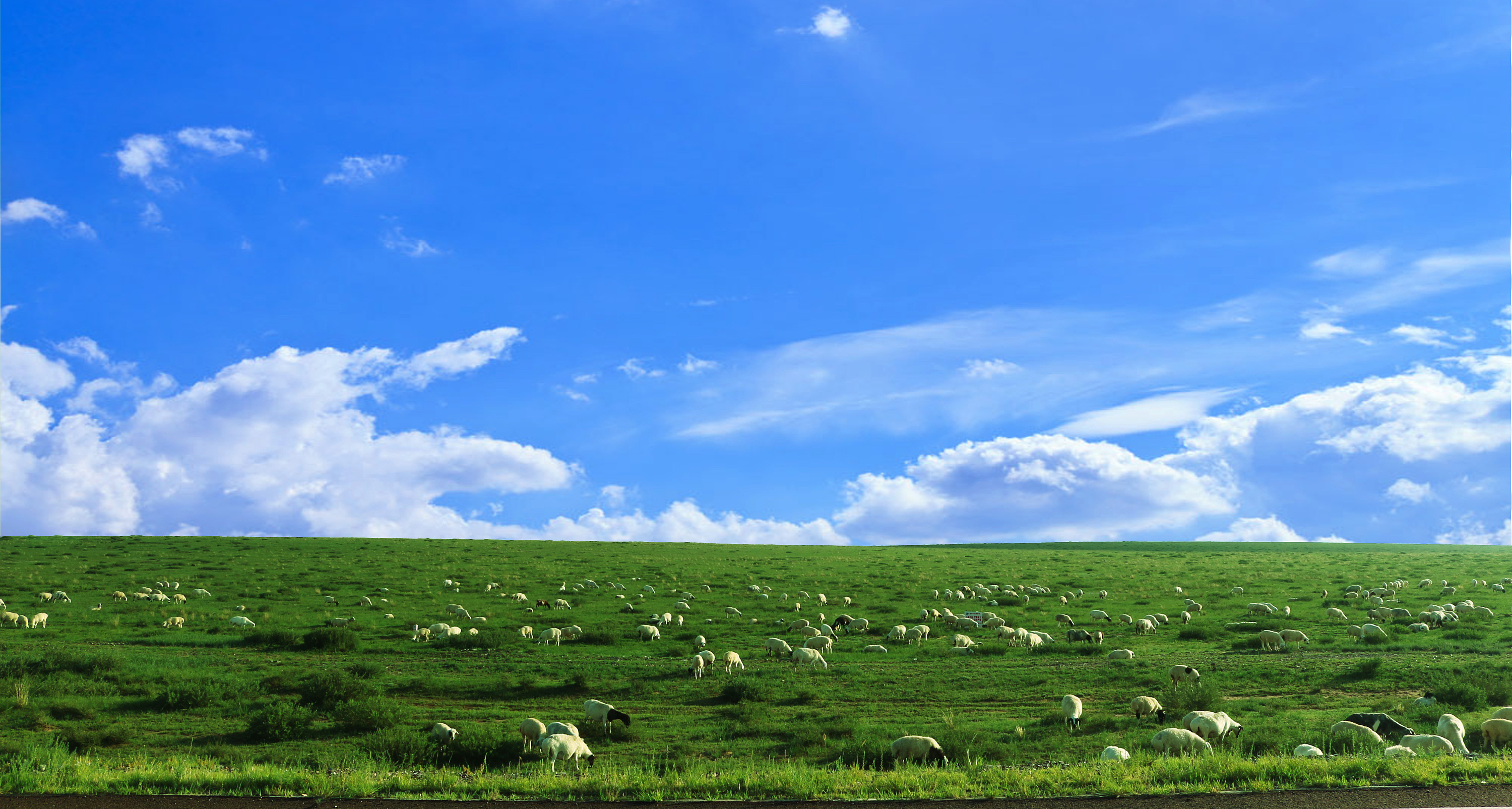 摄影-苏尼特草原