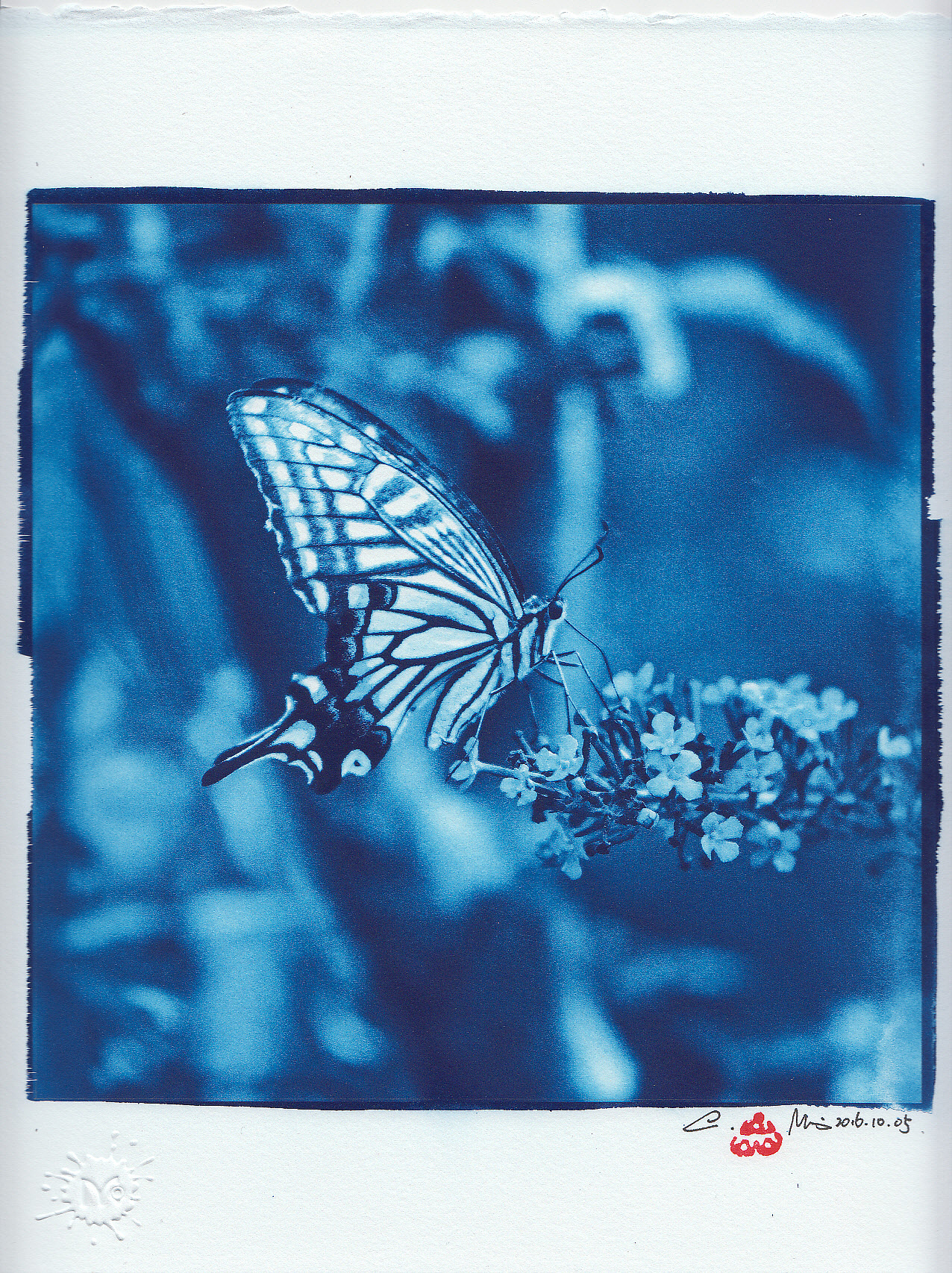 【古典印相】蓝晒篇