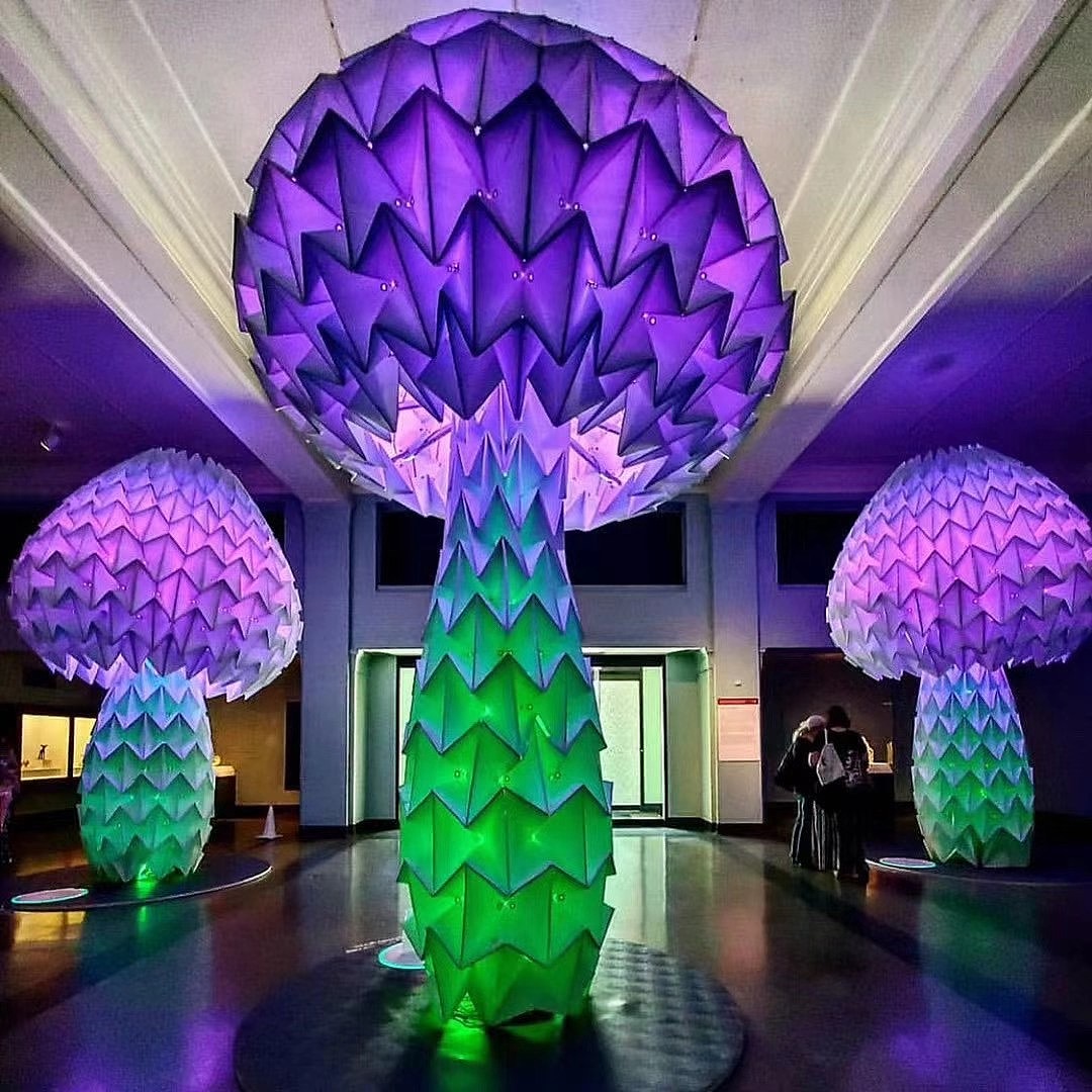 泡泡树租赁 烟泡树出租