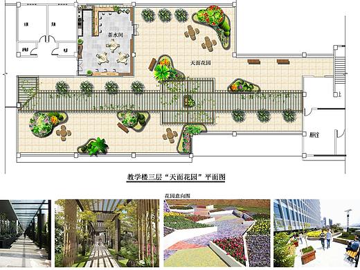 景观设计：《大信实验小学天面花园方案设计》