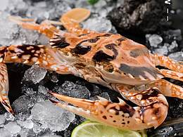 美食摄