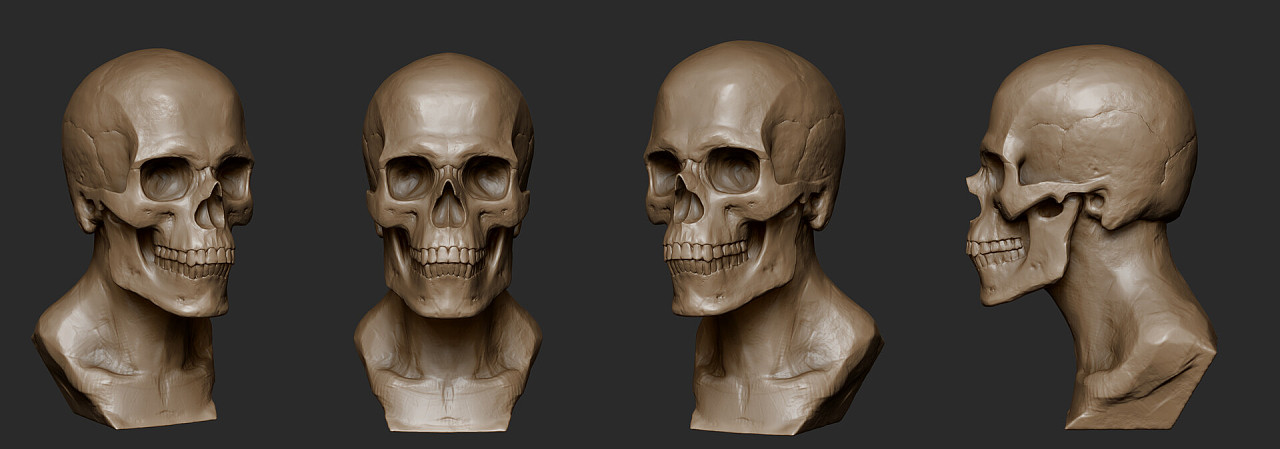 头骨练习|三维|人物/生物|鬼秀才 - 原创作品 - 站酷 (zcool)