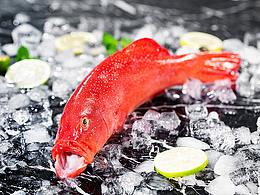 生鲜拍摄  菜品 创意拍摄