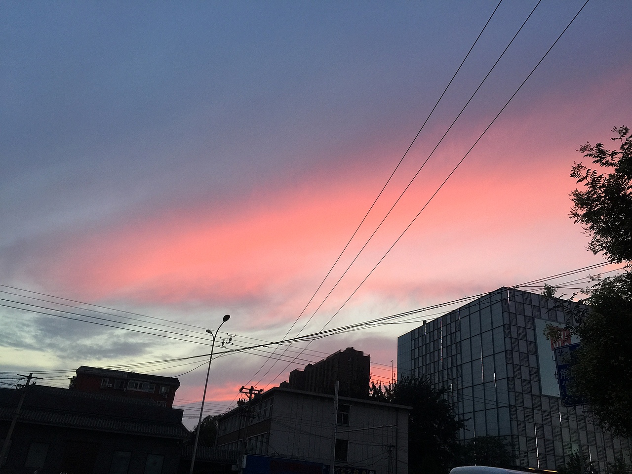 抓鸡拍摄（图ZODcwOTg1ODA=） - 人文/纪实摄影 - 站酷设计师DragonKing_Lee原创素材 - 站酷ZCOOL