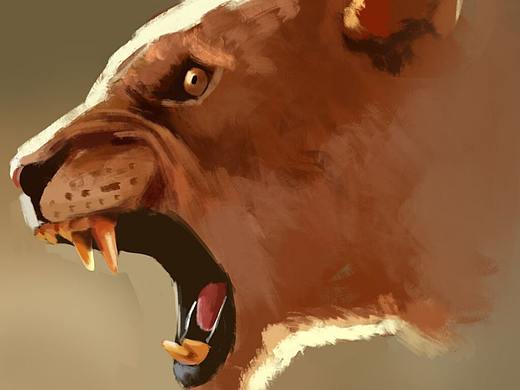 【临摹】之前临摹的一些动物练习