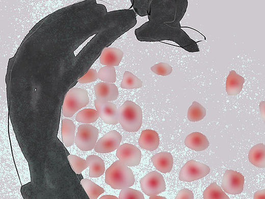 给德国古琴馆的图