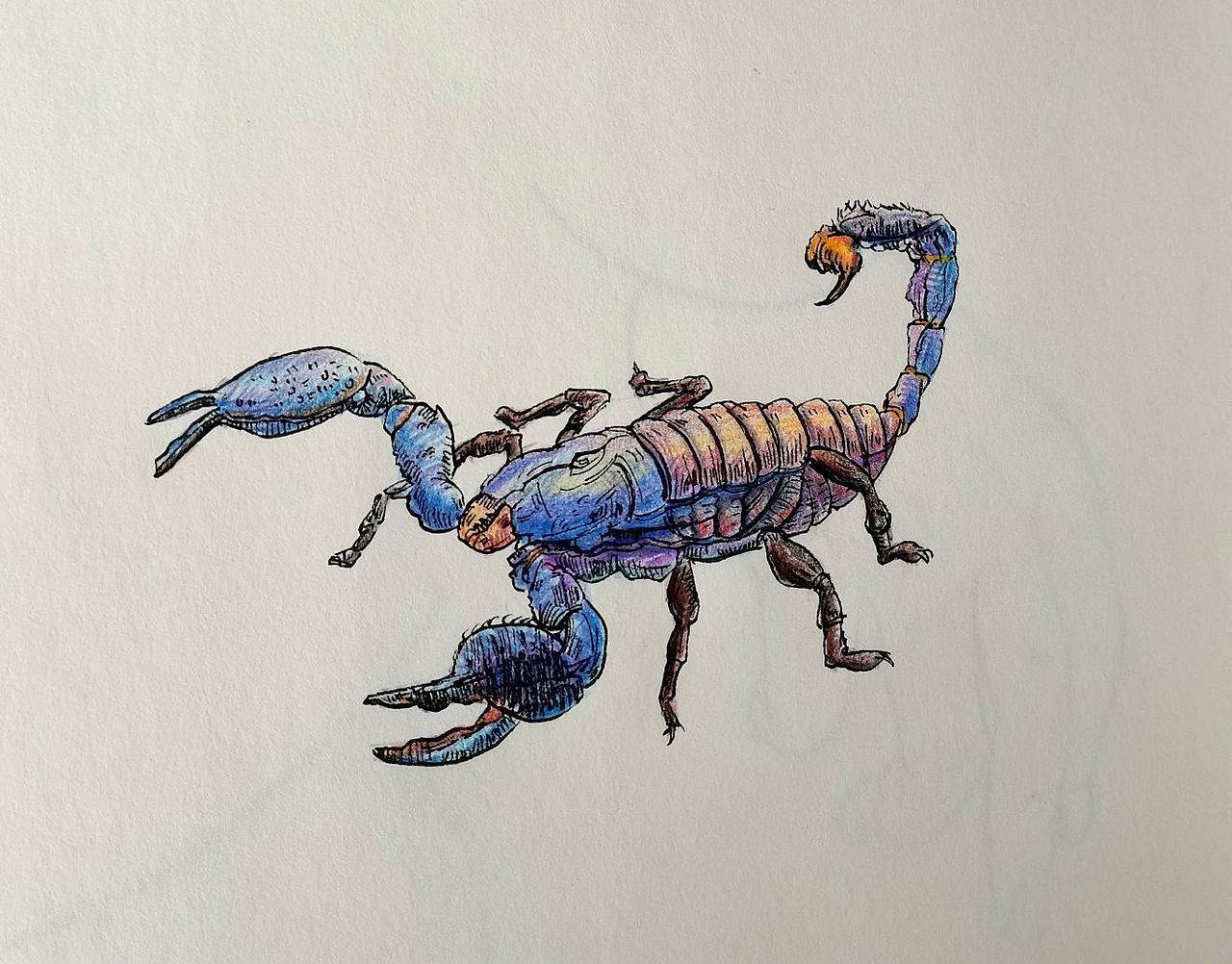 日常（图ZMzMwNjgzNzY0） - 创作习作 - 站酷设计师Z802854014原创素材 - 站酷ZCOOL