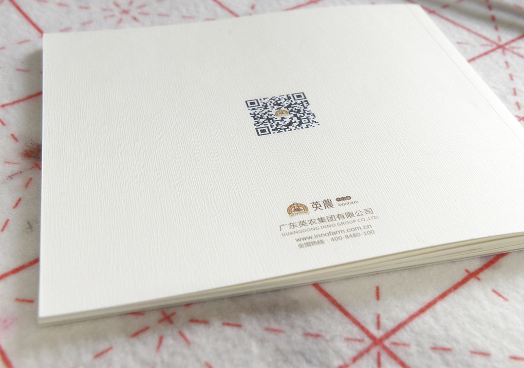 食品公司画册设计,食品招商画册设计,深圳画册设计,企业画册设计,画册设计,