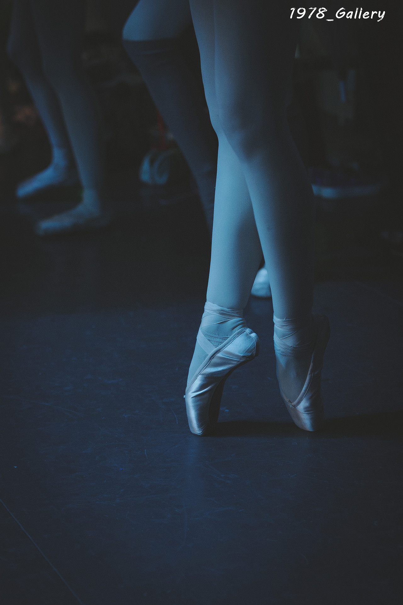 Ballet Swan Lake（图ZNTA3NTcxMjQ=） - 人像摄影 - 站酷设计师1978_Gallery原创素材 - 站酷ZCOOL