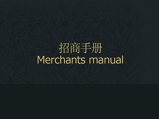 招商手册