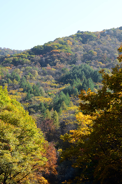 秋色（图ZNzE2MTQ3Mg==） - 风光摄影 - 站酷设计师ming6ming66原创素材 - 站酷ZCOOL