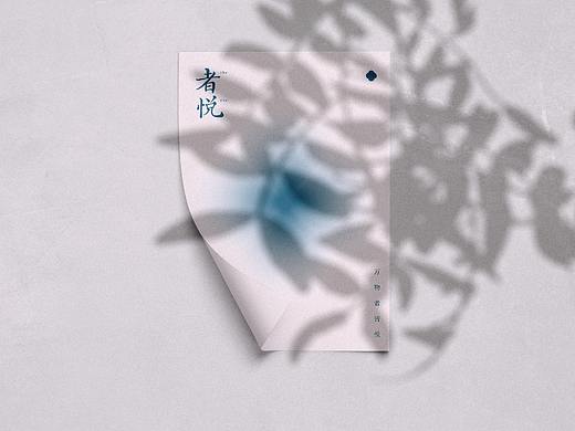 护肤品vis设计
