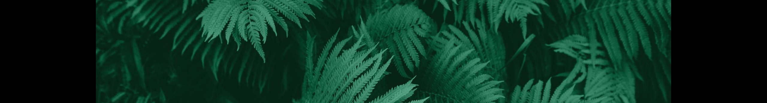 李小婕的个人主页（封面预览） - 主页封面设置 - 站酷设计师李小婕原创素材 - 站酷ZCOOL