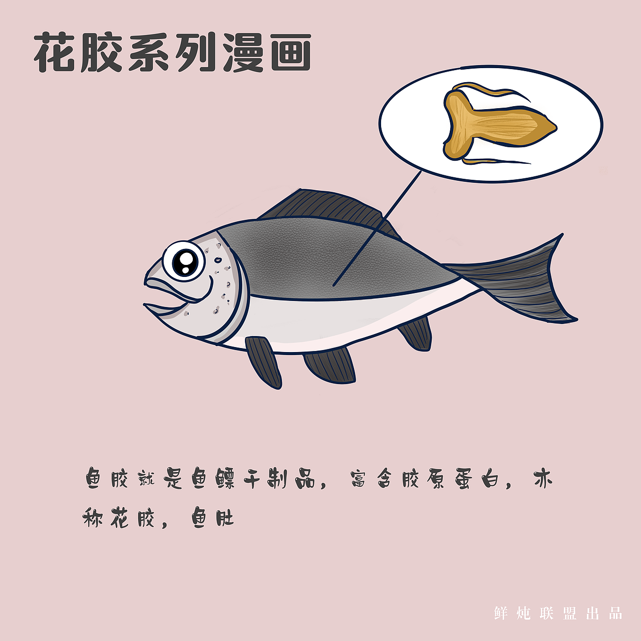 花胶保健系列插画