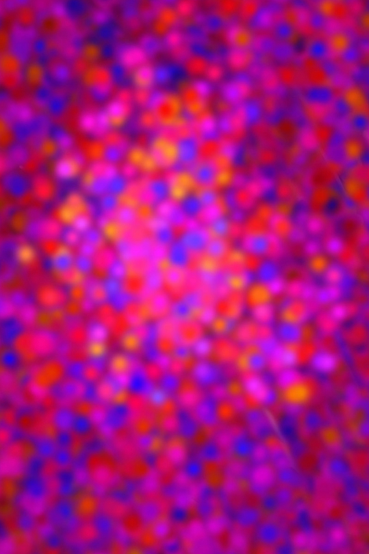 Z456 TheBrushTest について