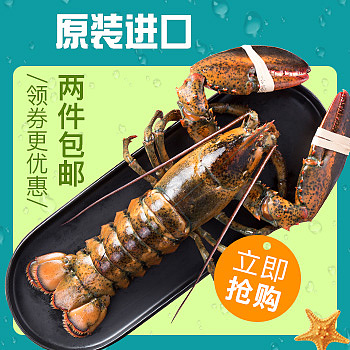 主图类型（图ZMTg0OTMwMjc2） - 海报 - 站酷设计师卡密大哥哥原创素材 - 站酷ZCOOL