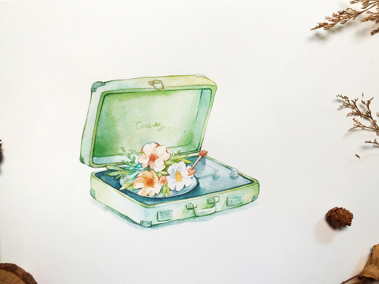 一些花卉想法系列1