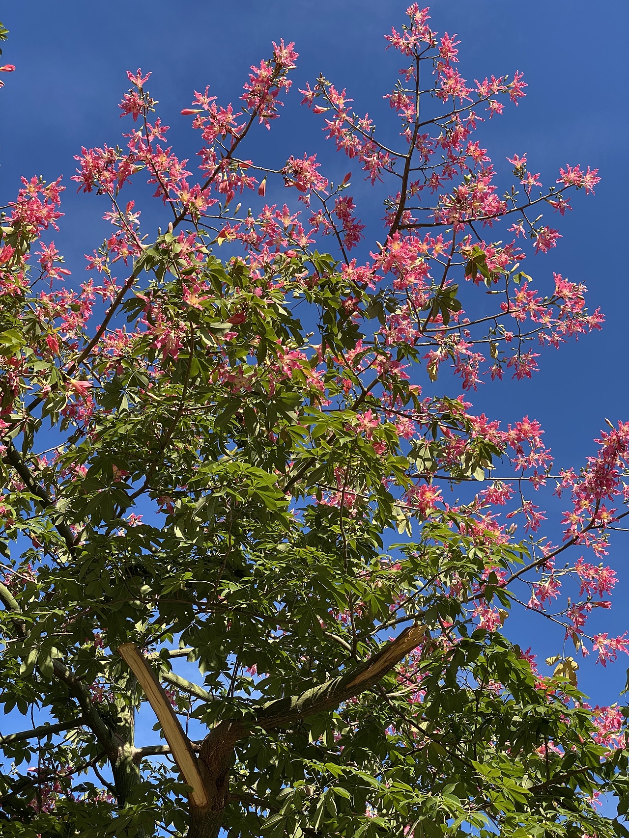 闲暇之余（图ZMzE2Nzc5NjUy） - 美食摄影 - 站酷设计师原点I原创素材 - 站酷ZCOOL