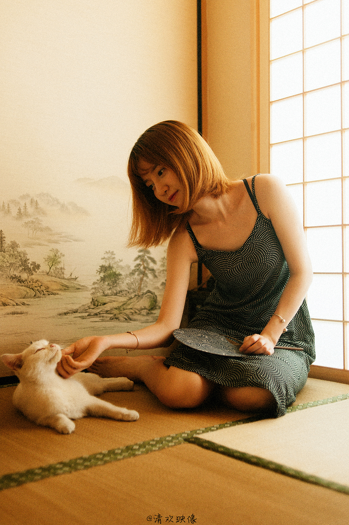 猫，少女与夏（图ZMTI2NTMzNjk2） - 人像摄影 - 站酷设计师清欢映像原创素材 - 站酷ZCOOL