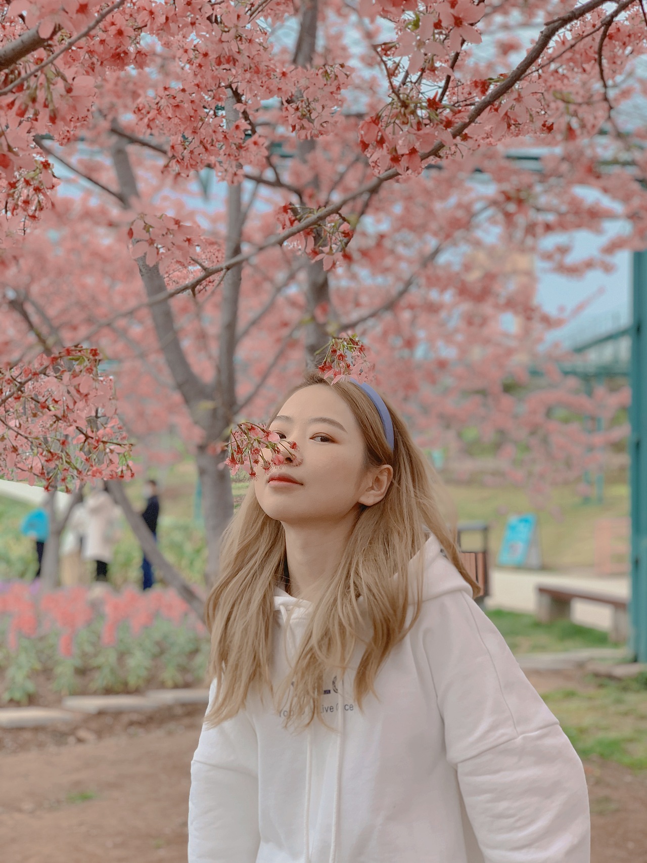 樱花盛开（图ZMjQzMjA3NzUy） - 人像摄影 - 站酷设计师Crystal11gao原创素材 - 站酷ZCOOL