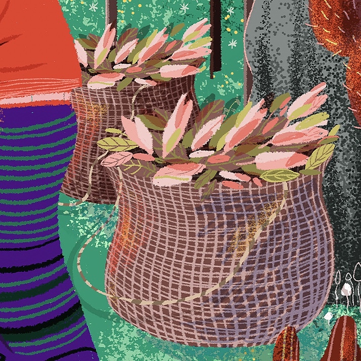 酸苞葉（圖ZMjQ1OTE5MDgw） - 商業(yè)插畫 - 站酷設(shè)計師阿蚌Boom原創(chuàng)素材 - 站酷ZCOOL