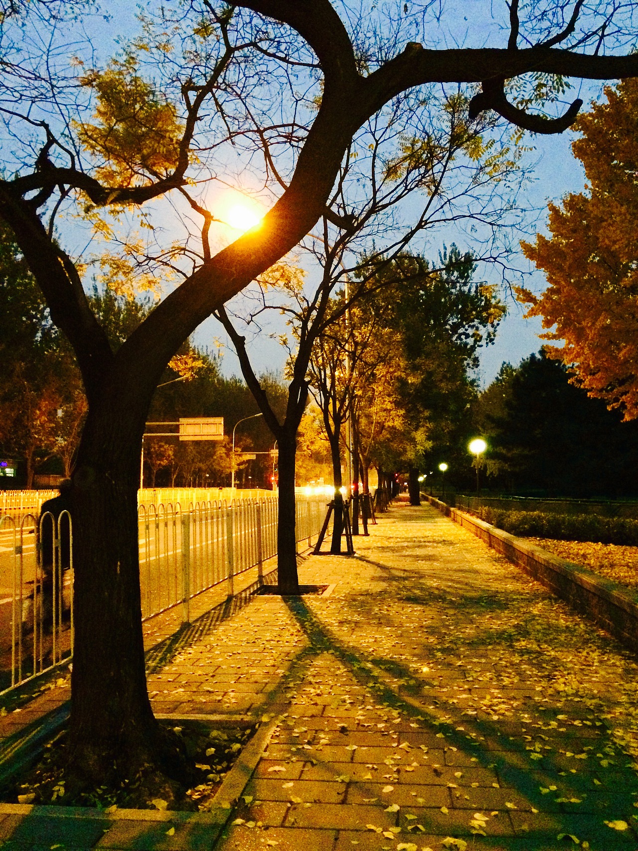 长安街路边冬天的夜色