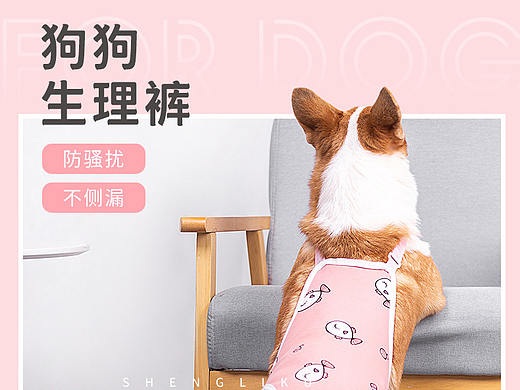 狗狗生理裤（个人主页-ZNTg3NjEwNTY=） - 电商 - 站酷设计师珥瑶原创素材 - 站酷ZCOOL