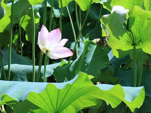 抓住夏天