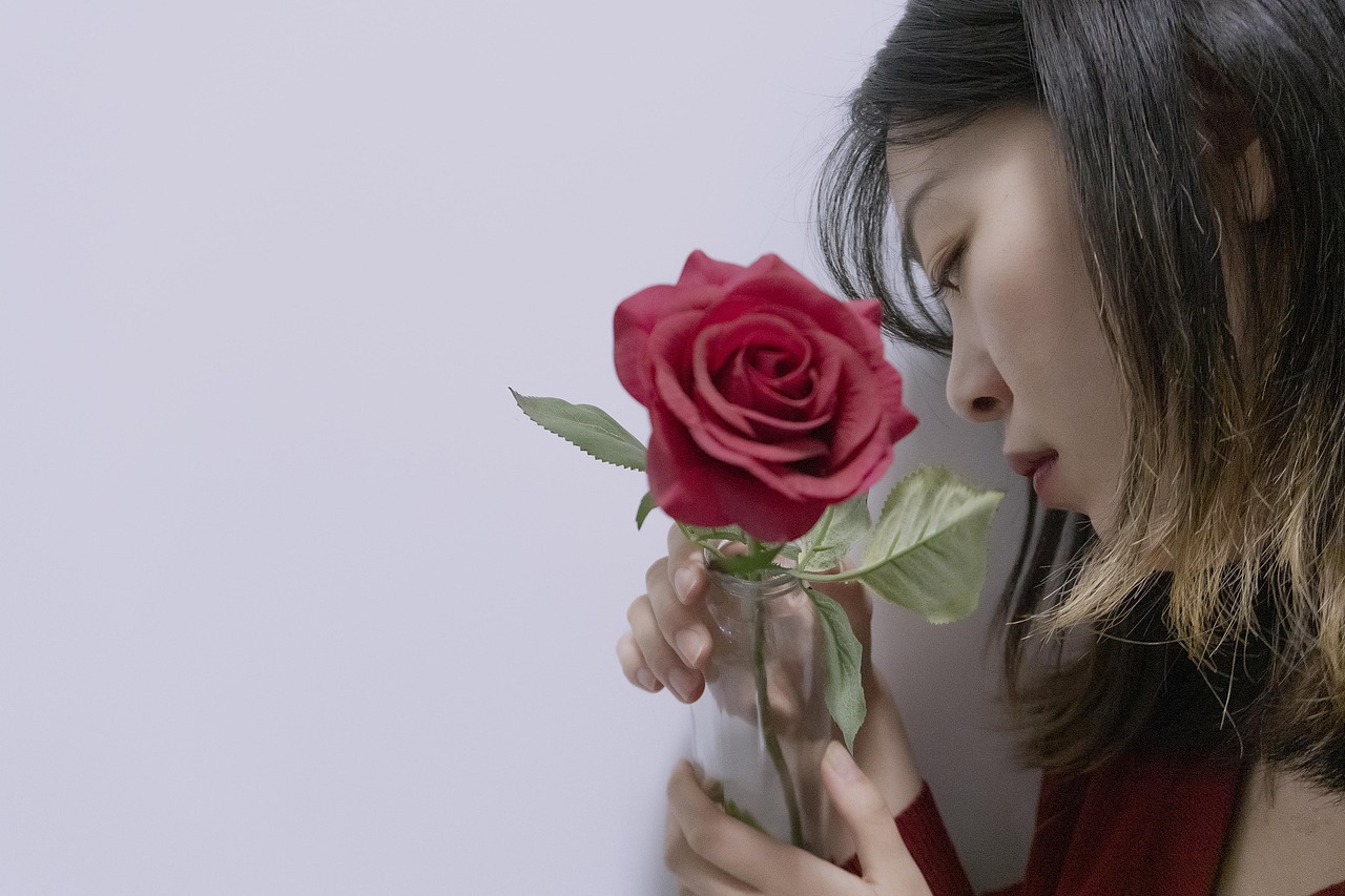 一只酗酒的树袋熊