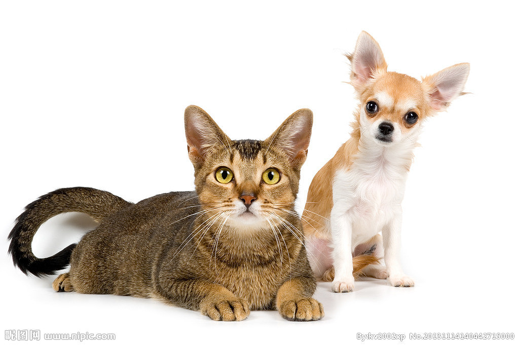 外包产品包装项目（图ZMTU5ODI3NjUy） - 商业插画 - 站酷设计师BIGBANG大爆炸原创素材 - 站酷ZCOOL