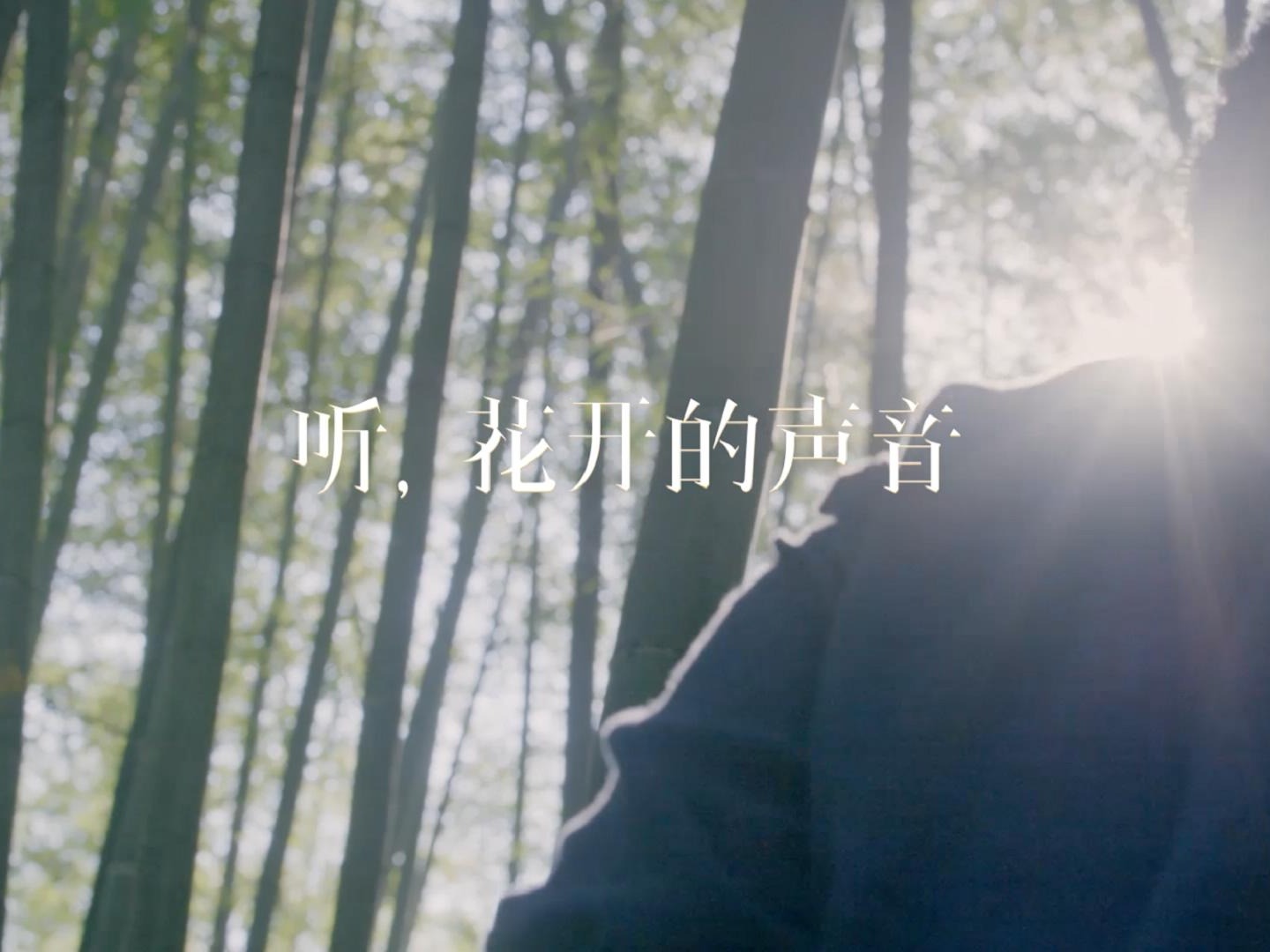 个人宣传片——广东花卉文化学会会长苏丽思
