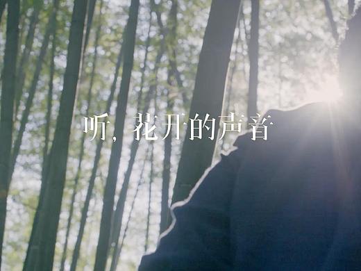 个人宣传片——广东花卉文化学会会长苏丽思