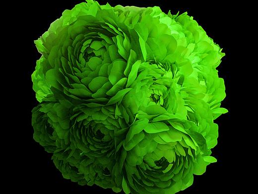 一朵朵綠色的花（個人主頁-ZMzgyNTExMzY=） - 其他三維 - 站酷設計師TT小T原創(chuàng)素材 - 站酷ZCOOL