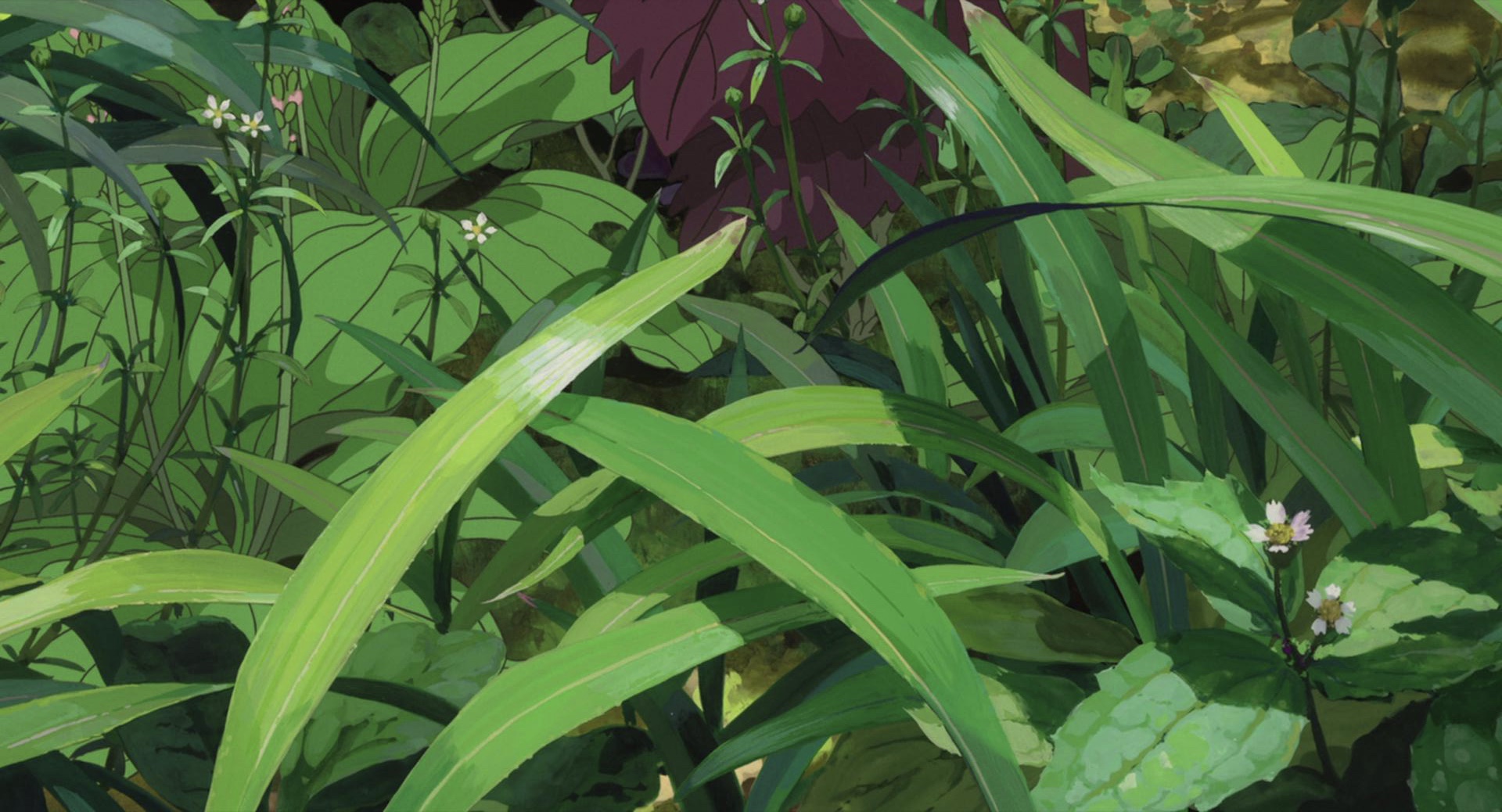 齊桑樹的個人主頁（封面預(yù)覽） - 主頁封面設(shè)置 - 站酷設(shè)計師齊桑樹原創(chuàng)素材 - 站酷ZCOOL