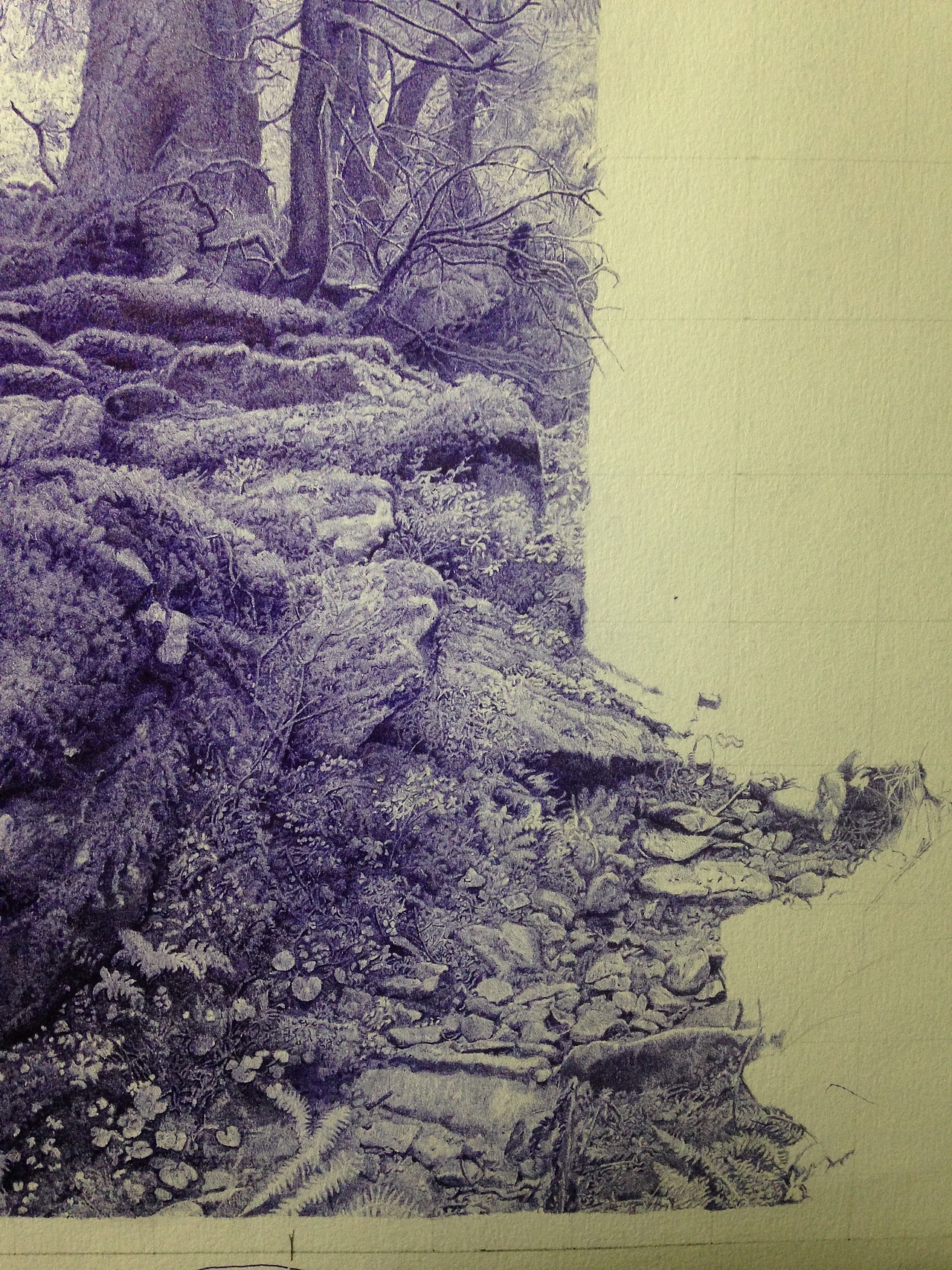 圆珠笔画森林一