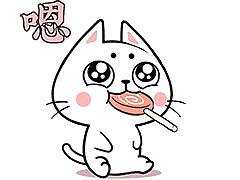 猫与熊 女王N 在线怼人 表情包