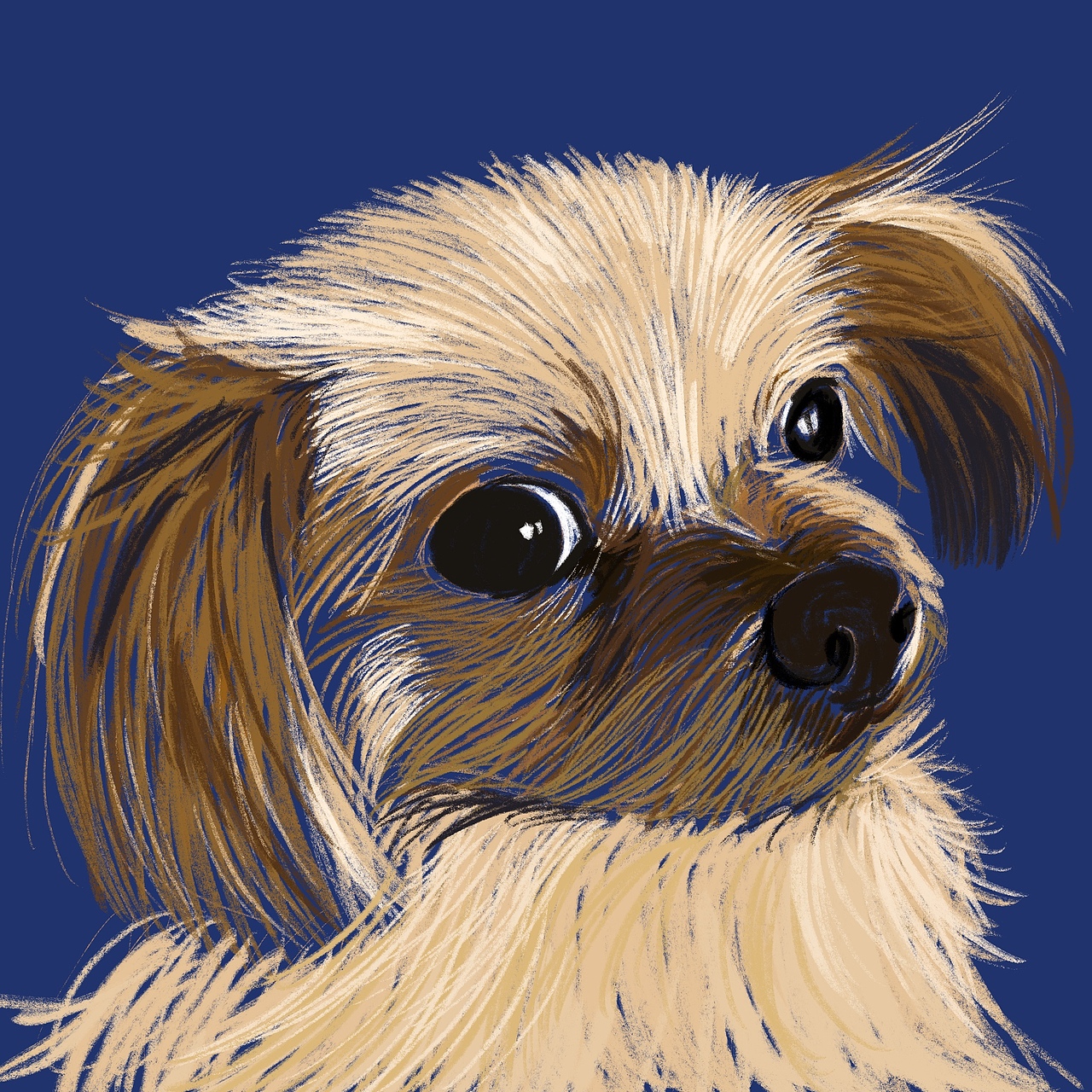 多米（图ZMjM5NDY2MTgw） - 创作习作 - 站酷设计师谢晓尘原创素材 - 站酷ZCOOL