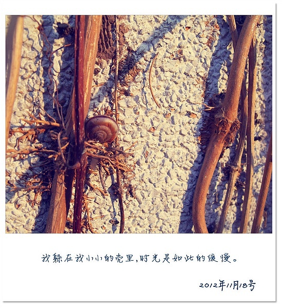 爱好~摄影小卡片（图ZODcwNzgyNA==） - 其他摄影 - 站酷设计师硬笔淡彩原创素材 - 站酷ZCOOL