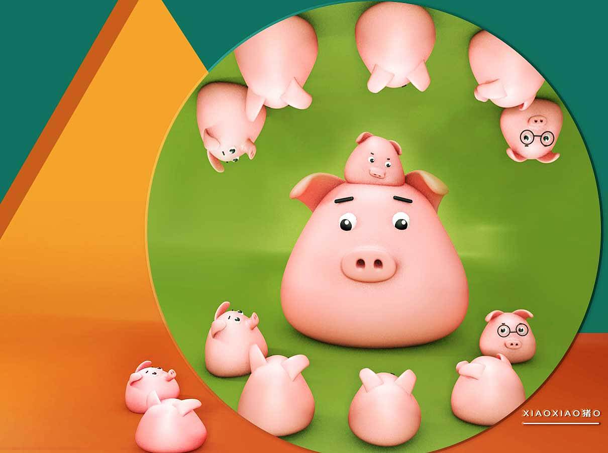 小小猪来啦~