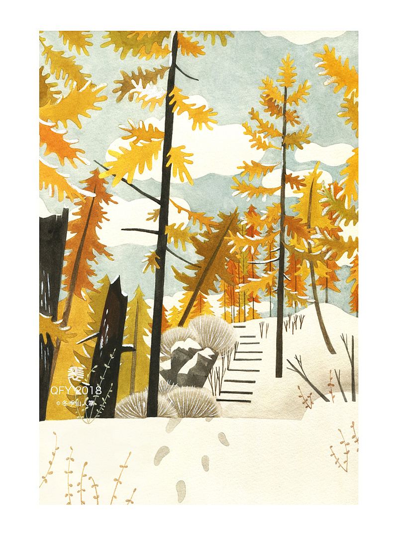 山顶旅店背后的松树林