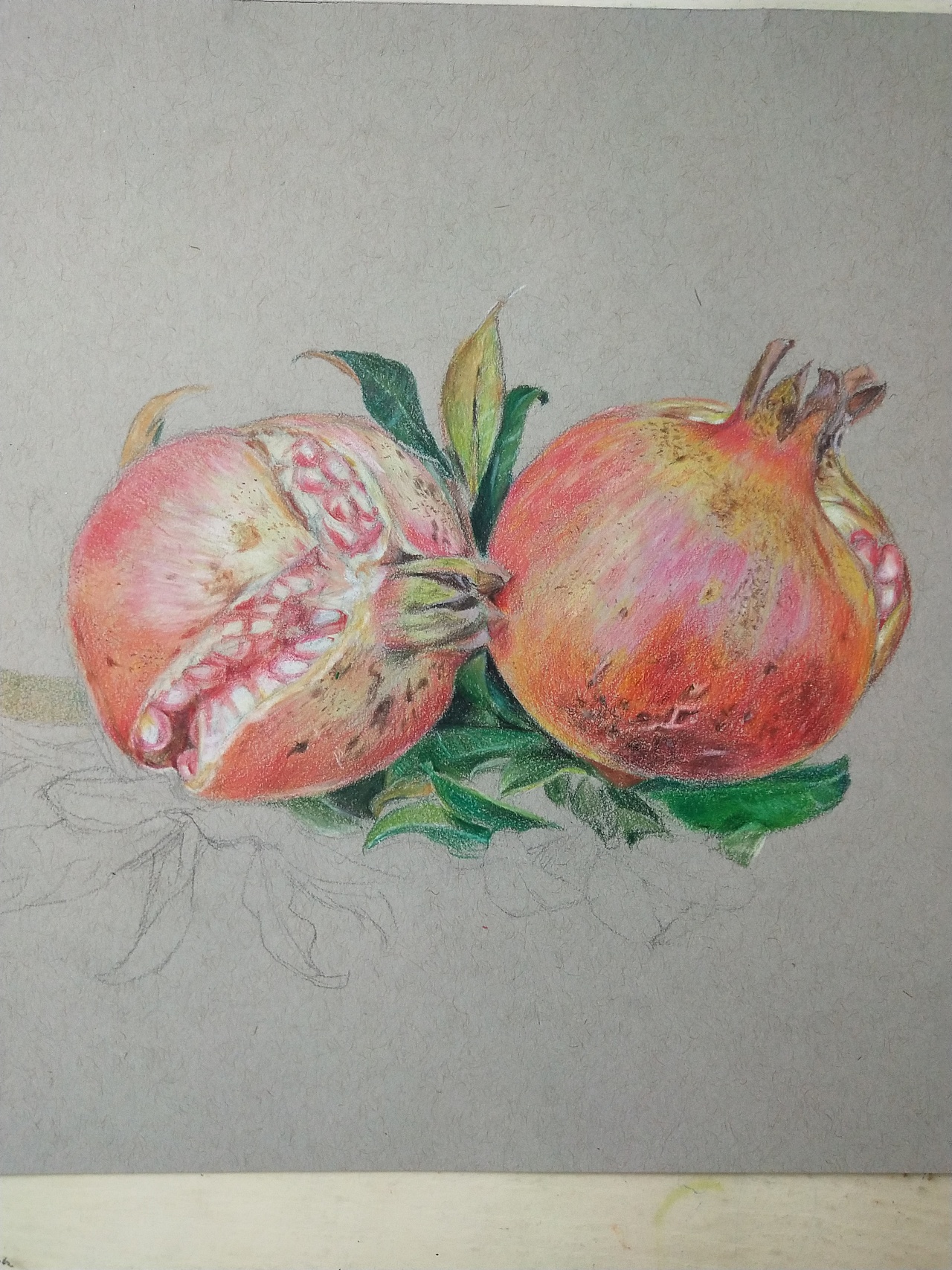 我家石榴乐开花