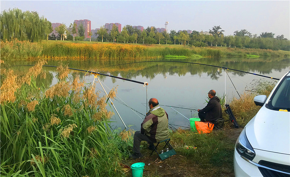 刘勇良手机纪实摄影闲来垂钓碧溪上