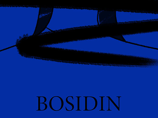 博思迪bosidin✖️ ARTastic Lab - 脱毛仪