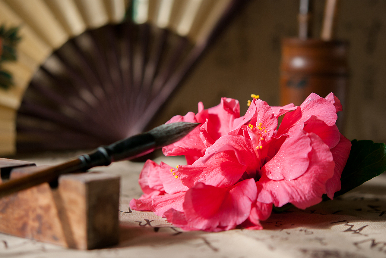 清水芙蓉天生就 只为感君半世缘