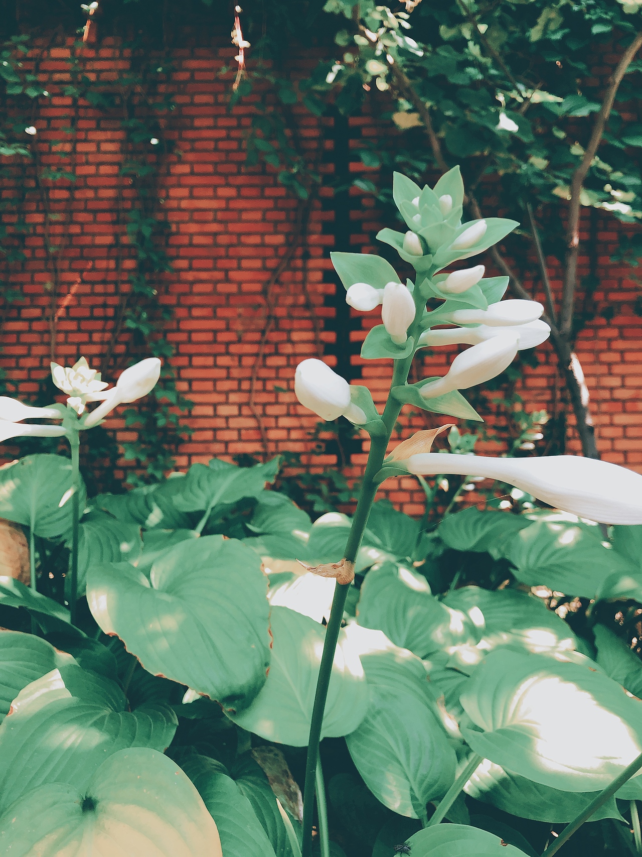 红砖美术馆（图ZMTczNTM5MTEy） - 风光摄影 - 站酷设计师愫语原创素材 - 站酷ZCOOL