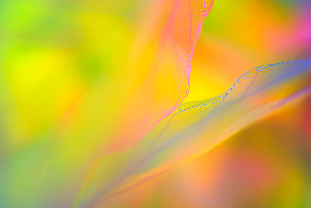 绽影像之《撕雾》（图ZMjU1MjE1NjMy） - 时尚/艺术摄影 - 站酷设计师陈绽原创素材 - 站酷ZCOOL